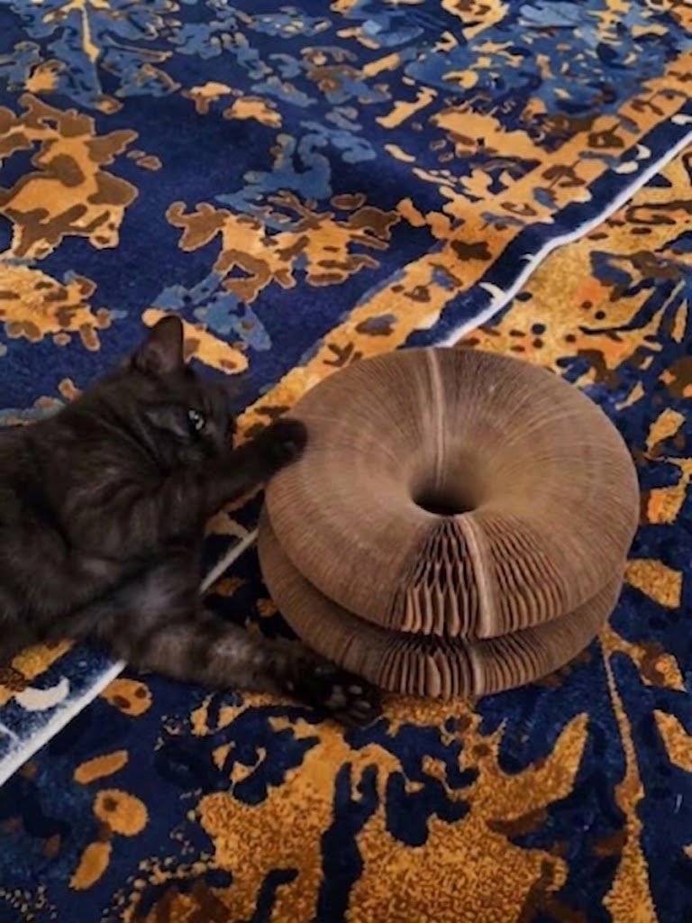 Şeklini değiştirmek işe yarıyor